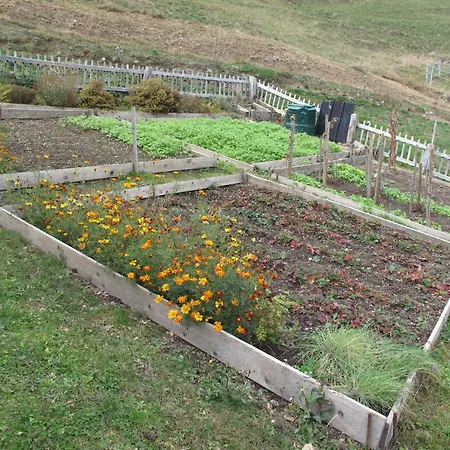 Apartment Grand Du Mayen De Planraveire Orsieres